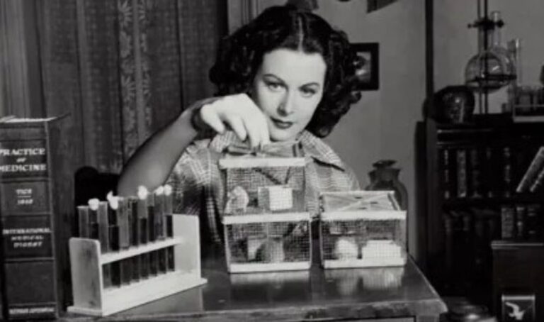 mulheres que fizeram historia na engenharia